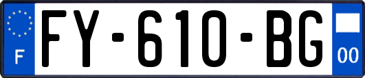 FY-610-BG