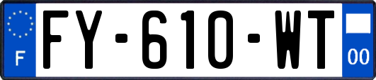 FY-610-WT