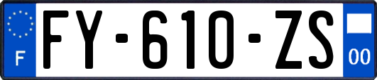 FY-610-ZS