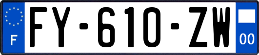 FY-610-ZW