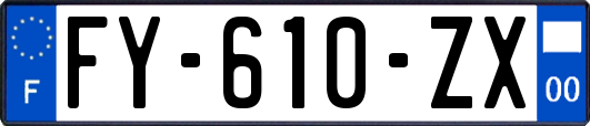FY-610-ZX
