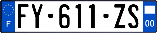 FY-611-ZS