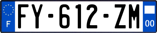 FY-612-ZM