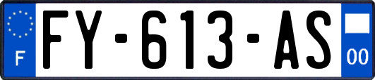 FY-613-AS