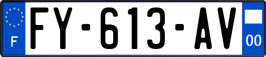 FY-613-AV