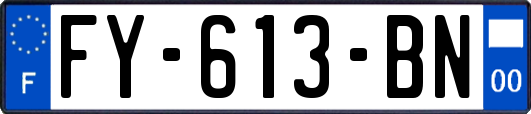 FY-613-BN