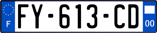 FY-613-CD