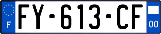 FY-613-CF