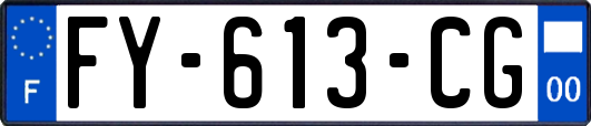 FY-613-CG