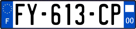 FY-613-CP