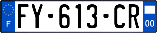 FY-613-CR