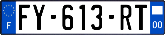 FY-613-RT