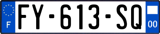 FY-613-SQ