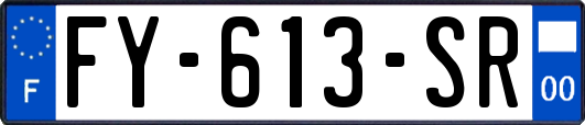 FY-613-SR