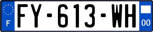 FY-613-WH