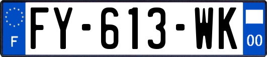 FY-613-WK