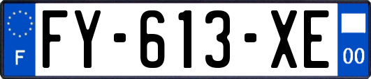 FY-613-XE