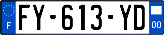 FY-613-YD
