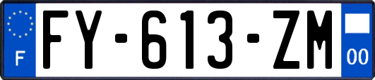 FY-613-ZM