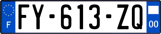 FY-613-ZQ