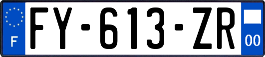 FY-613-ZR