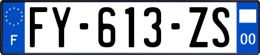 FY-613-ZS