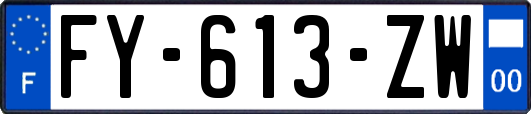 FY-613-ZW