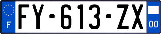 FY-613-ZX