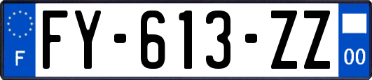 FY-613-ZZ