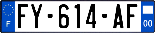 FY-614-AF
