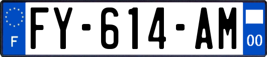 FY-614-AM