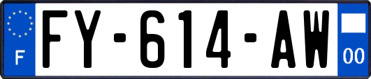 FY-614-AW