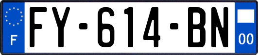 FY-614-BN