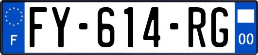 FY-614-RG
