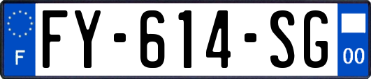 FY-614-SG