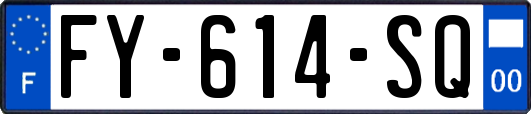 FY-614-SQ