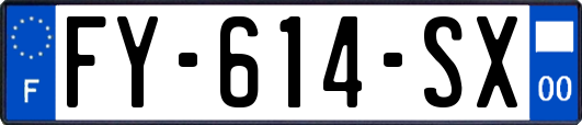 FY-614-SX