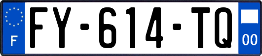 FY-614-TQ