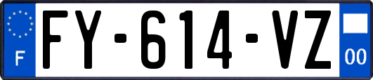FY-614-VZ