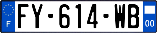 FY-614-WB