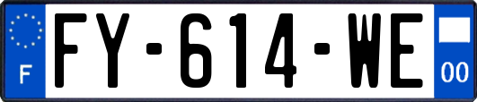 FY-614-WE