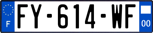FY-614-WF