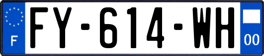 FY-614-WH