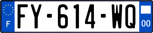 FY-614-WQ