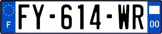 FY-614-WR