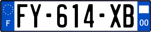 FY-614-XB
