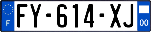 FY-614-XJ