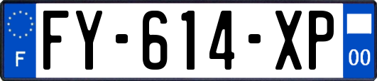 FY-614-XP