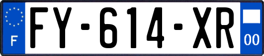 FY-614-XR