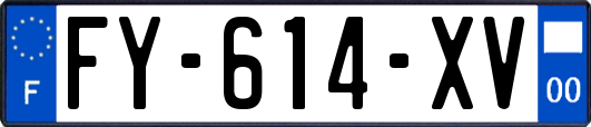 FY-614-XV